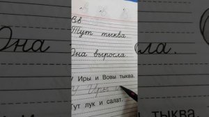 Урок письма. 1класс. Заглавная и строчная буква В, в. Закрепление.