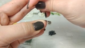 Как сплести кольцо из бисера? Готовые схемы. Колечки из бисера MIYUKI DELICA.