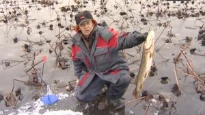 Рыбалка выходного дня в Астрахани. Рыболовная Школа 13