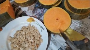 ТЫКВА МУСКАТНАЯ СЕМЕЙНАЯ. Отзыв.pumpkin