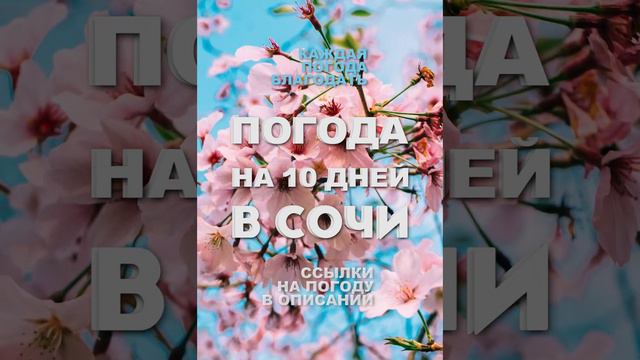 погода на 10 дней в СОЧИ