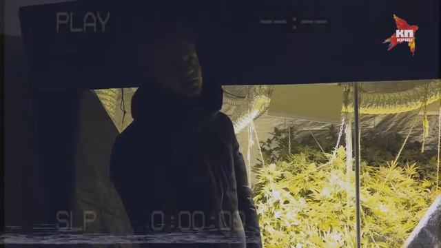 Задержание гровера смотреть онлайн