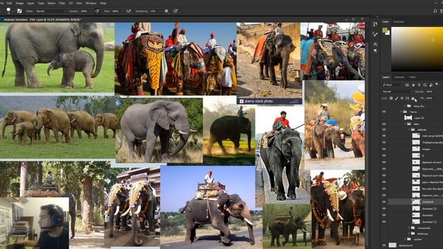 Como desenhar ANIMAIS TERRESTRES смотреть онлайн