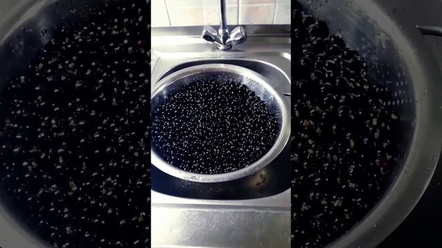 Заготовка. Самый простой и удобный способ заморозки чёрной смородины. смотреть онлайн