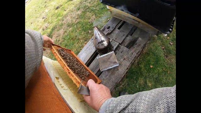 Пчелы в феврале подкормка Двухматочный старт поилка необходима ситуация с клещем и другое. смотреть онлайн