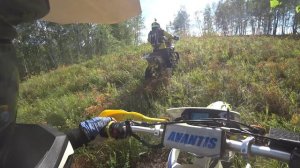 Драверта 2022