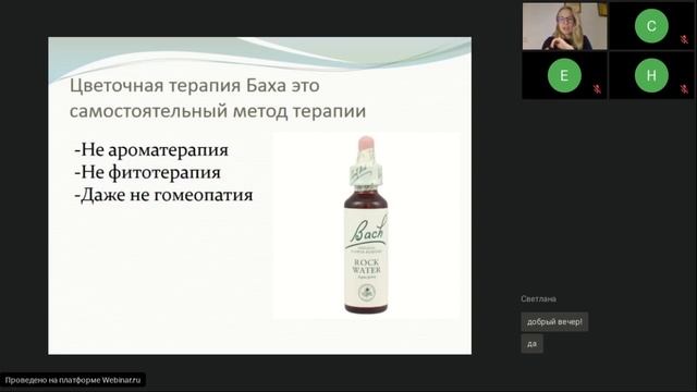 Что такое Цветы Баха? Цветочная терапия Э. Баха