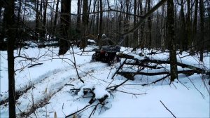 Suzuki King Quad 500 Wheelin