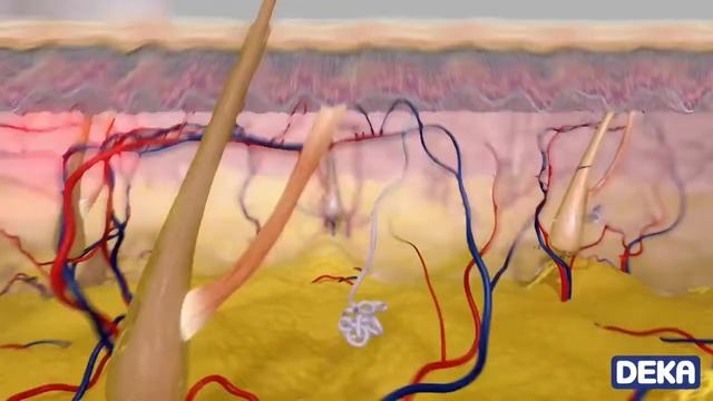 Alexandita Motus AX смотреть онлайн