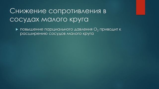 Кровообращение плода