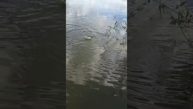 Рыбалка- женское дело )) Егорьевский рыбхоз