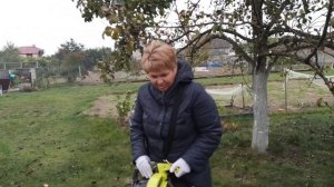 Садовый пылесос.Выбор между граблями и пылесосом.