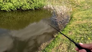 Тейл-спиннеры на которые Бум в Алиэкспресс. Их купили тысячи людей и все ловят!