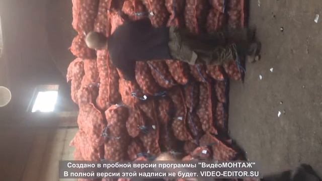 тулеевский смотреть онлайн