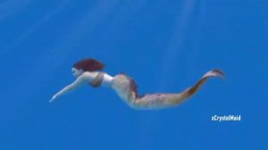 Mako Mermaids | Swimming Scenes (Season 1)