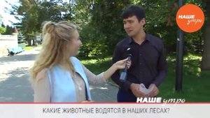 какие животные водятся в наших лесах