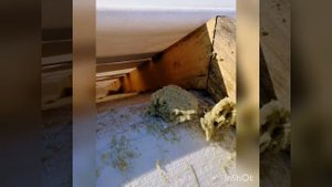 Утепление эковатой