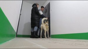 Новостройка | Первые впечатления