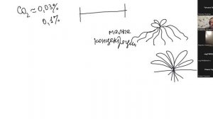 Видео конференция с Владимиром Быстровым. Об удобрениях и химии в жизни растений.