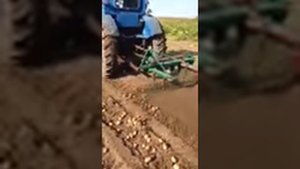 Картофелекопалка боковая однорядная для трактора Т-40 село Урманчеево
