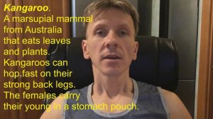 17  Учимся читать KANGAROO