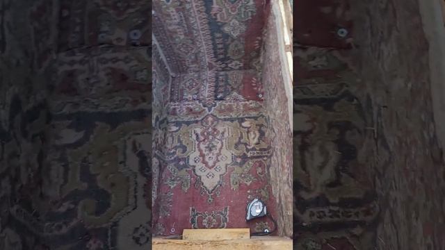 Будка для двух собак) этапы постройки смотреть онлайн