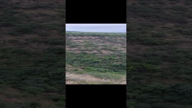 Красота природы