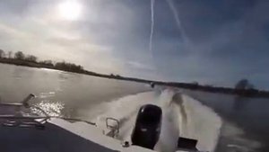 Silver shark slubice