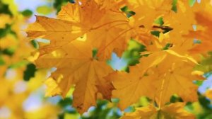 Третье сентября