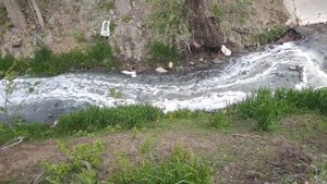 30.04.2021 год. SOS! Сброс канализационных стоков с ЖК "Суворовский" в реку Темерник продолжается.