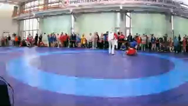 Ковер 2 (в/к 37,43,св 55 кг) смотреть онлайн