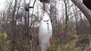 ДЕД РЫБАК 55 ЛЕТ ДОБОВЛЯЕТ ЭТО на Рыбалке  Лови по холодной воде  Супер рыболовная насадка на карас