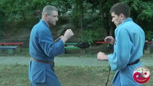 Айкибудзюцу: Защита от ударов