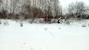 Зимняя рыбалка !