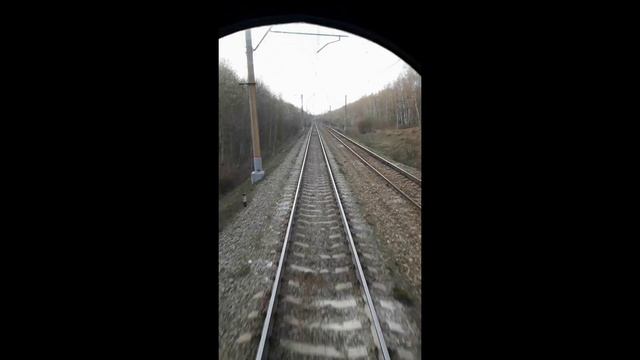 Дорога!