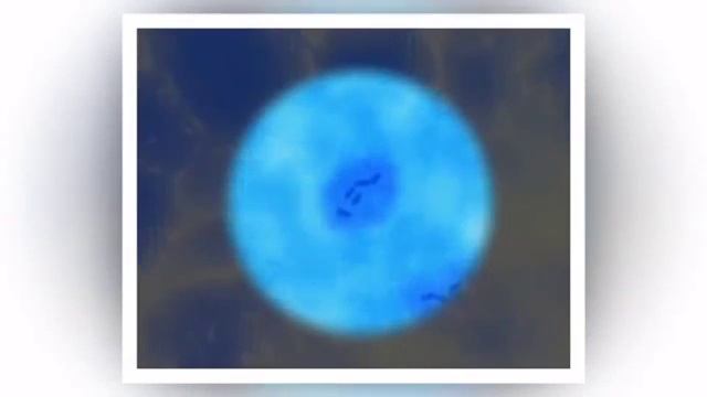 Как правильно умывать лицо рассказывает Малышева Елена смотреть онлайн