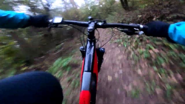 Вигулюю дику скотиняку затишним осіннім лісом смотреть онлайн