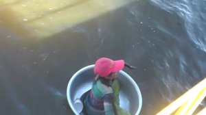 Мудрецы в тазиках. Камбоджа 2012 год. Плавучая Вьетнамская деревня.