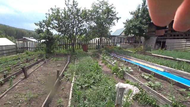 VLOG дачный/урожай, грядки, дел много/нас с Настей накусали смотреть онлайн