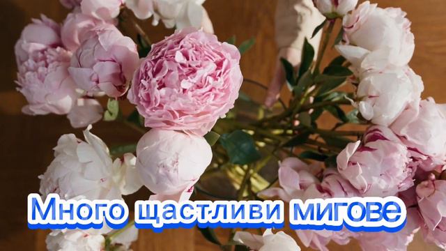 Картичка за Рожден Ден на жена смотреть онлайн