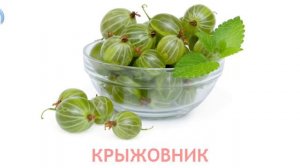 карточки домана ягоды часть 9