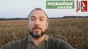 Лучший СИДЕРАТ  без перекопки для теплицы, огорода и сада! Посейте и не пожалеете!