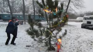 Как горит новогодняя ёлка