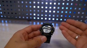 Часы LASIKA W F80 made in China