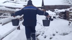 21-й век. Деревня. Вода на коромысле.