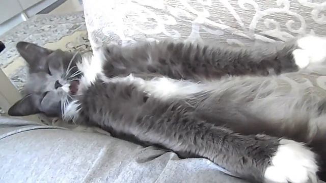 Потягушки смотреть онлайн