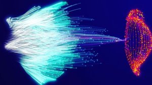 Одни частицы атакуют, а другие убегают ?