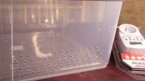 Как сделать террариум из контейнера для змей и других рептилий / Terrarium DIY