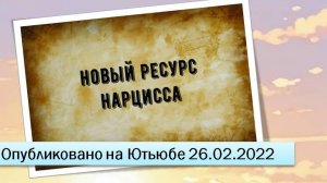 Новый ресурс нарцисса (26.02.2022)