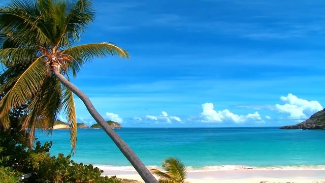 Голубая лагуна для телевизора и монитора (HD) смотреть онлайн